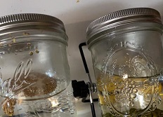 Seeds Of Change logo