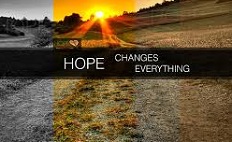 Hope 'n' Natural Wellness Ctr logo