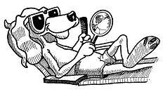 Feasts For Beasts logo