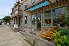 Four Paws On The Beach logo