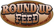 Round Up logo