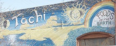 Tochi Products logo