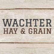 Wachter Hay And Grain logo